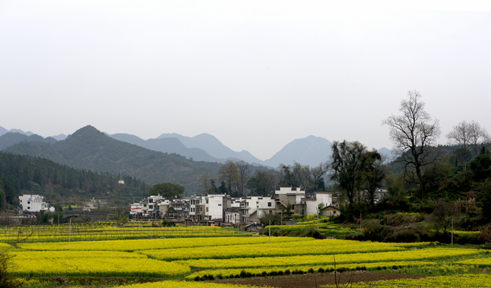 環(huán)砂